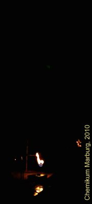 Experiment des Monats