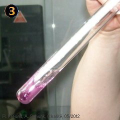 Experiment des Monats