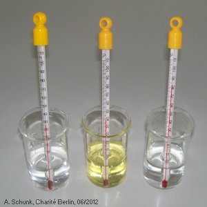 Experiment des Monats