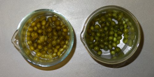 Experiment des Monats