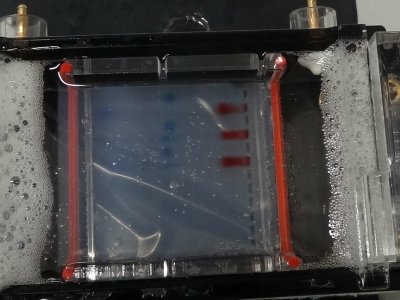 Experiment des Monats