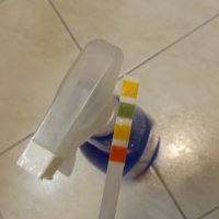 Experiment des Monats