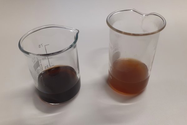 Experiment des Monats