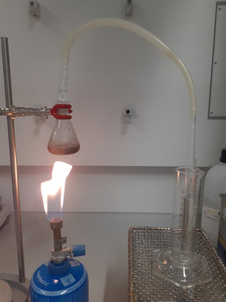 Experiment des Monats