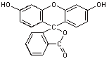 Fluorescein