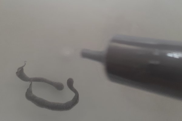 Experiment des Monats